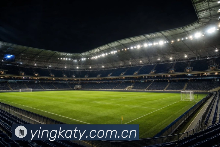 赢咖手机版下载官方网站2026最新版发布说明