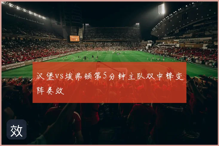 汉堡vs埃弗顿第5分钟主队双中锋变阵奏效